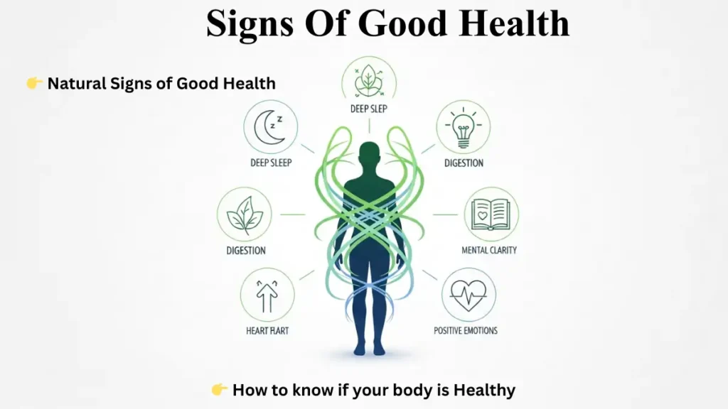 10 powerful signs of good health including energy, digestion, sleep, mental clarity, and emotional balance shown through a holistic wellness illustration