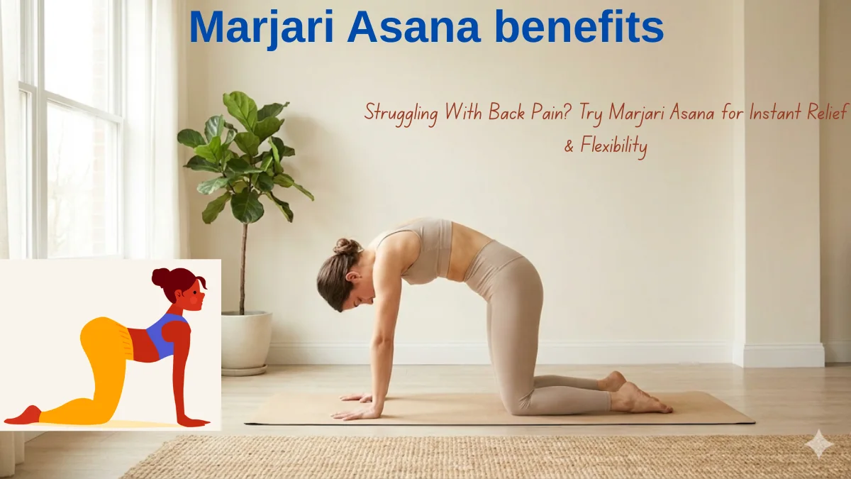 Marjari Asana benefits