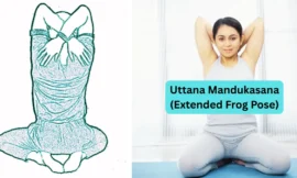 7 Benefits of Uttana Mandukasana