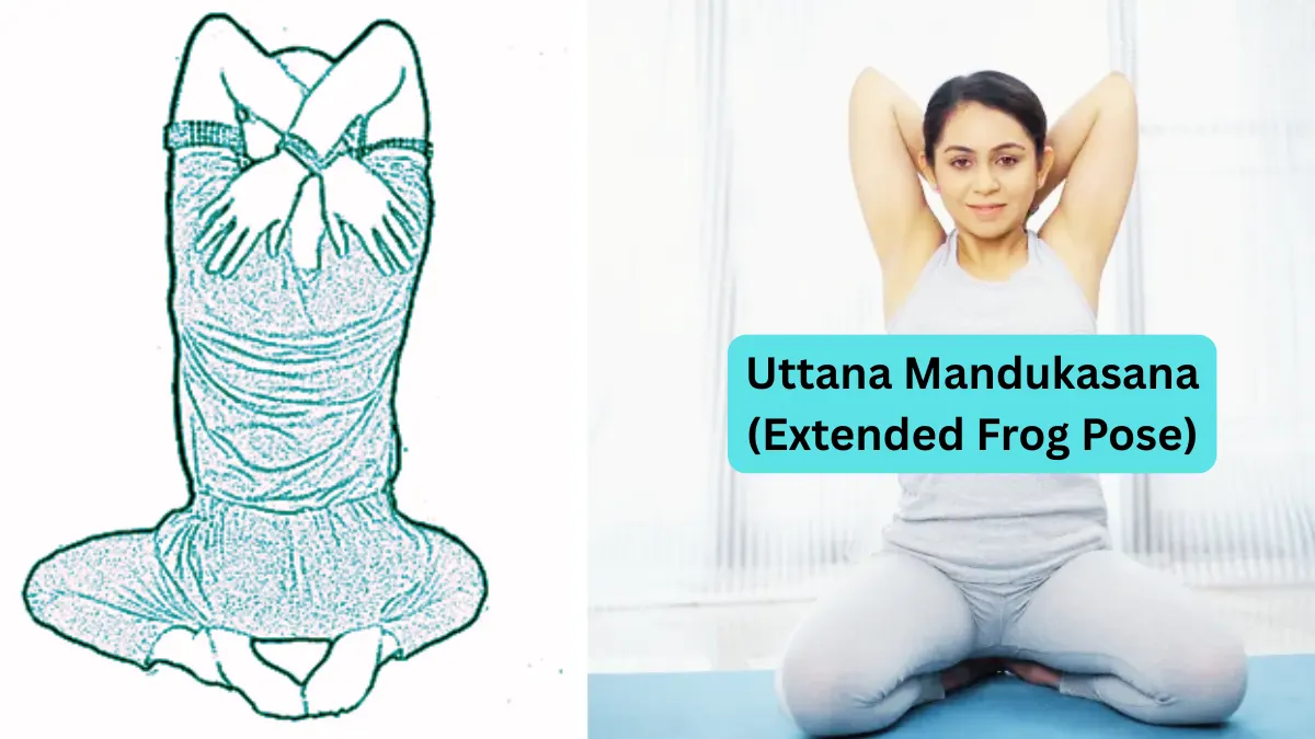 Uttana Mandukasana (Extended Frog Pose)